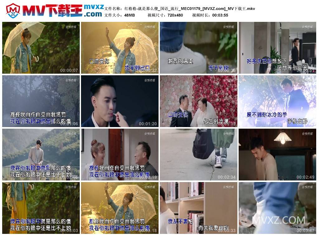 红格格-就是那么傻_国语_流行_MEC01179